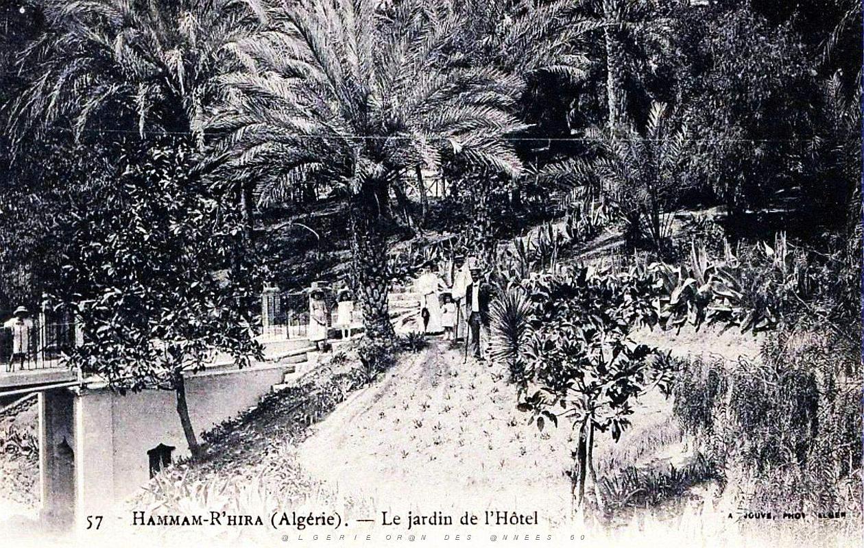 1382- Hammam-R'Hira - Jardins de l'hotel.jpg